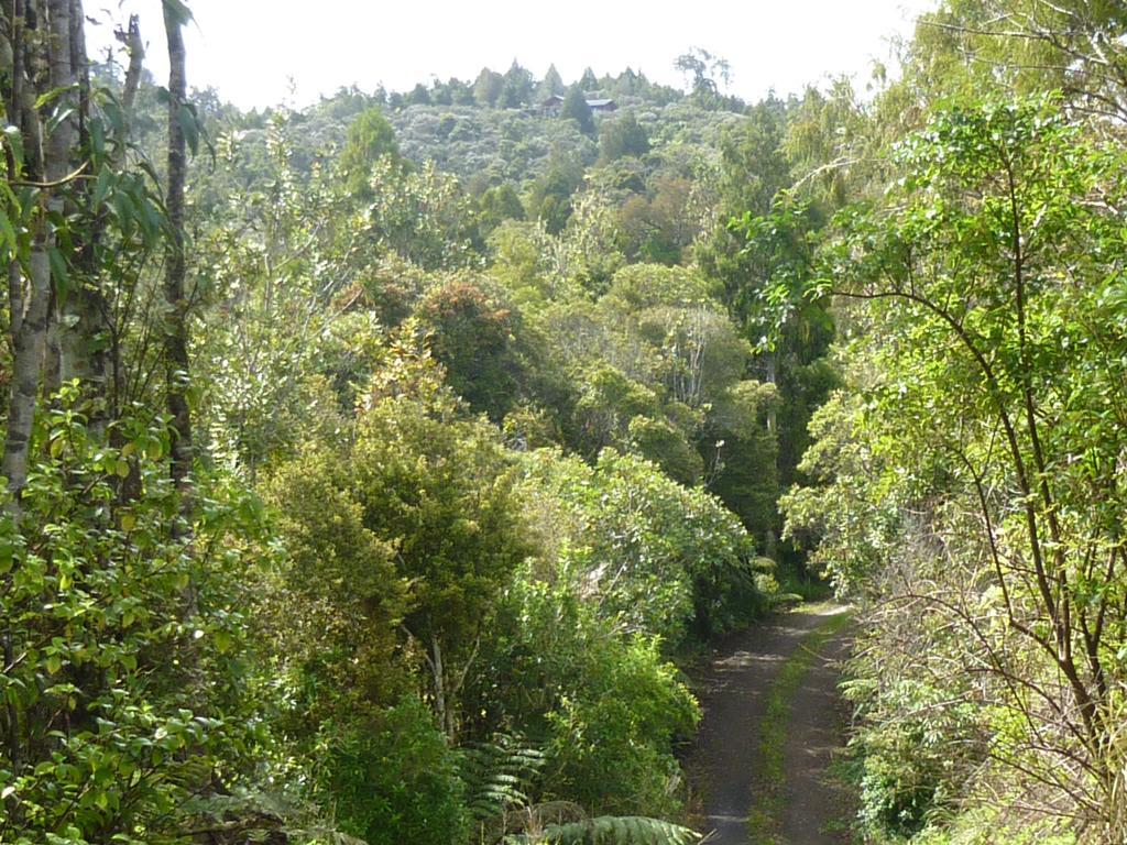 Fern Ridge Hideaway Villa Victoria Valley Bagian luar foto