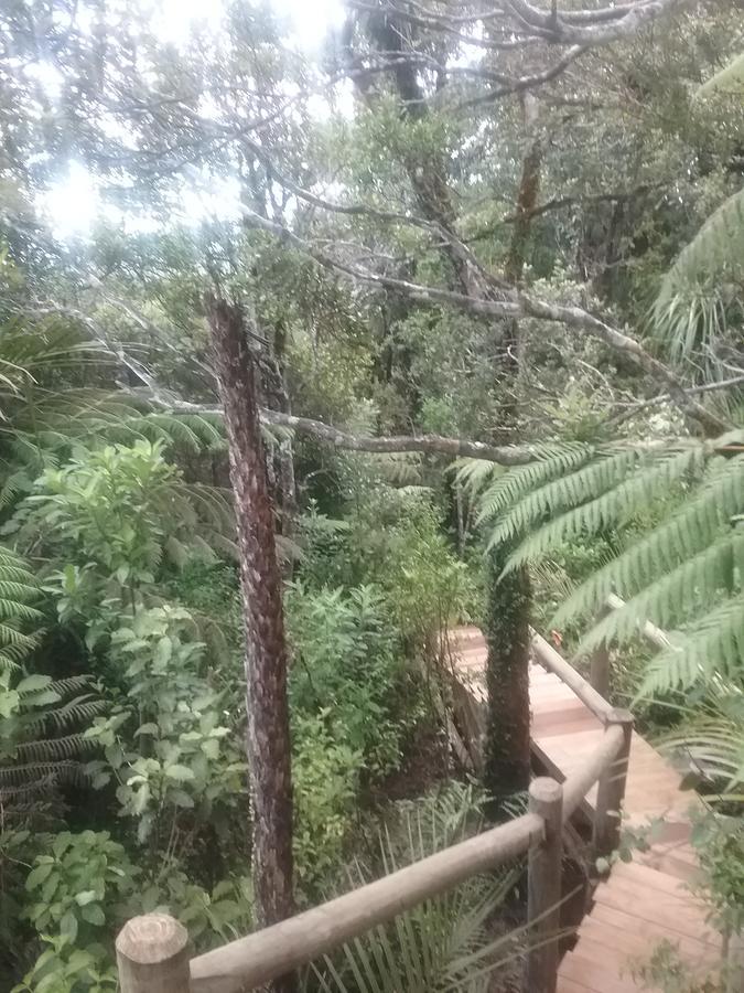 Fern Ridge Hideaway Villa Victoria Valley Bagian luar foto
